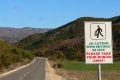 albanien-050a
