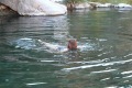 albanien-055a