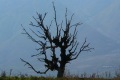 albanien-121a