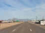 Arizona: Die Wüste lebt 1