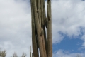 P1130186