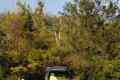 australien-1-019a