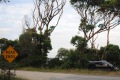 australien-1-053a