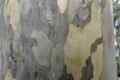 australien-1-095a