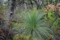 australien-2-050a