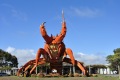 australien-2-161a
