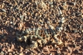australien-3-333a