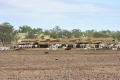 australien-3-559a