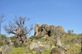 australien-4-030a