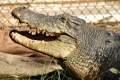 australien-4-096a