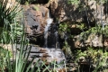 australien-4-232a