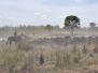 Australien 5