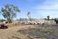 australien-5-034a
