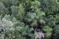 australien-5-097a