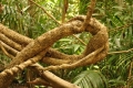 australien-5-122a