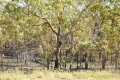australien-5-142a