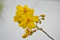australien-5-308a
