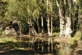 australien-7-034a