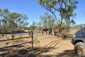 australien-7-077a