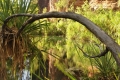 australien-7-108a