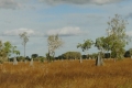 australien-8-144a