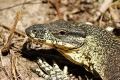 australien-9-397a