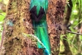 IMG-20180625-WA0002
