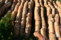 griechenland-peloponnes-010a