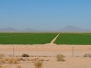 Kalifornien Süd: Die Wüste lebt 2