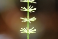 Natur