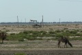 kasachstan-3-118a