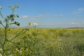 kasachstan-006a