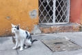 20180702_164643