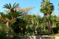 reise-157a