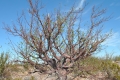 DSC_0044