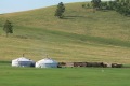 mongolei-1-008a