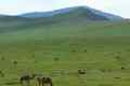 mongolei-1-013a