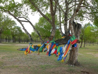 mongolei-1-098a