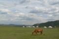 mongolei-2-056a