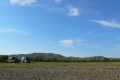 mongolei-2-090a