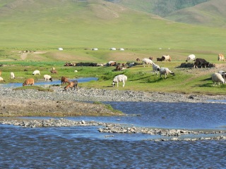 mongolei-3-068a