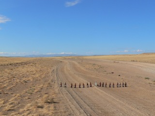 mongolei-3-217a