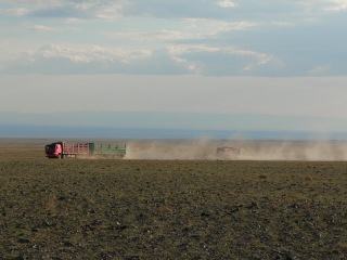 mongolei-3-240a