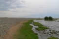 mongolei-3-248a