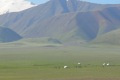 mongolei-3-287a