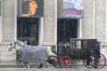 bis-daheim-013a