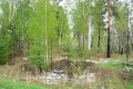 russland-1-010a