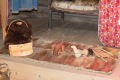 russland-1-067a