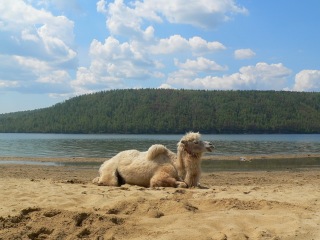 russland-1-068a