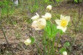 russland-1-085a